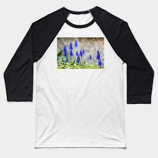 Grape hyacinths flowers in front of stone wall Baseball T-Shirt